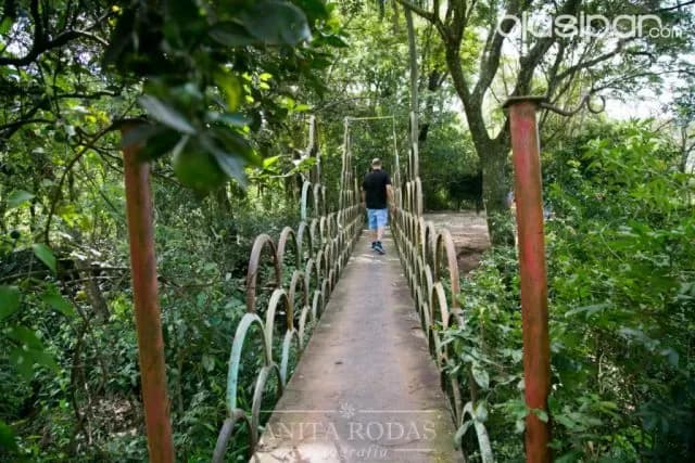 Hermoso campo en paraguarí! Ideal para todo tipo de emprendimiento! — foto 3