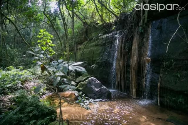 Hermoso campo en paraguarí! Ideal para todo tipo de emprendimiento! — foto 4