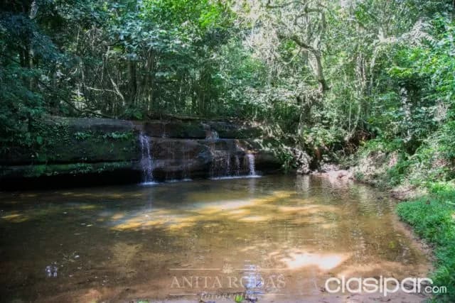 Hermoso campo en paraguarí! Ideal para todo tipo de emprendimiento! — foto 5