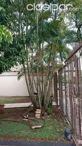 Amplio duplex en Ciudad del Este zona avda. San jose cod 1421 — foto 3