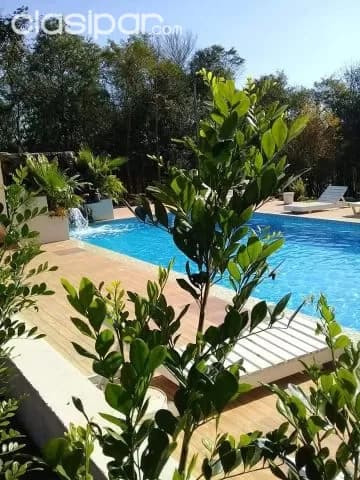 Propiedad premium en Encarnación 1427 — foto 2