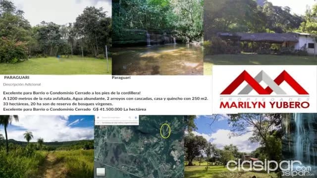 Hermoso Campo en Paraguari...COD: CL 637 — foto 2