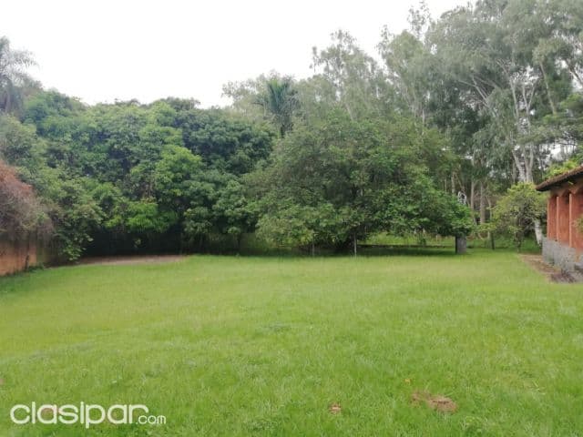 Remató terreno en San Antonio