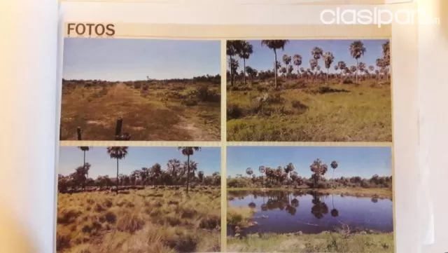 Pdte. Hayes–pozo colorado: 13.000 has (fracc) excelente explotación agroganadera–1.330 usd — foto 4