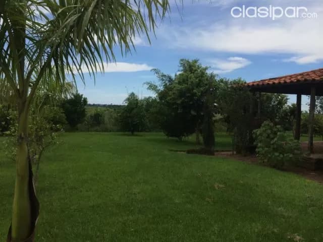 Cnel. Oviedo–caaguazú: Maravillosa casa quinta; granja en producción 91.44 has — foto 3