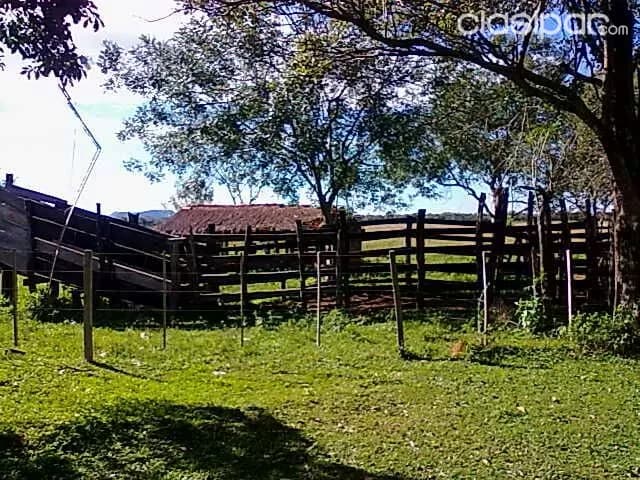 Piribebuy – cordillera: Magnifica estancia en venta – 122 hectáreas altamente productiva — foto 2