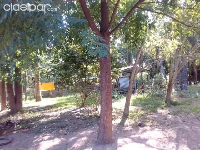 Prox. A puente Asunción – chacoí: Únicas! 20 has – maravillosa ubicación, foto 3