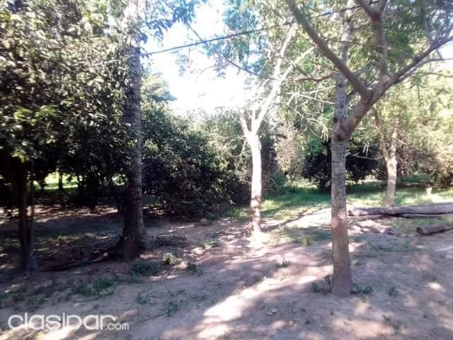 Prox. A puente Asunción – chacoí: Únicas! 20 has – maravillosa ubicación, foto 4