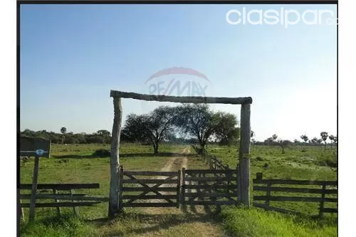 Estancia Formada en Benjamin Aceval 669 HAS. Km133 — foto 5