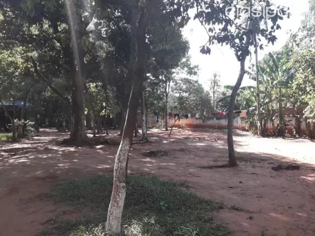 Hermoso terreno en Luque zona aeropuerto rakiura — foto 3