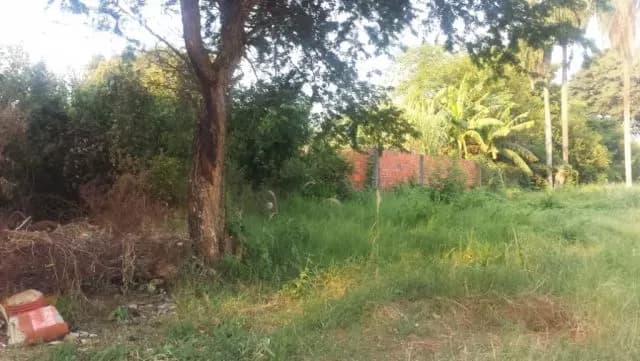 Terreno en limpio, sobre empedrado. Y5127 — foto 5