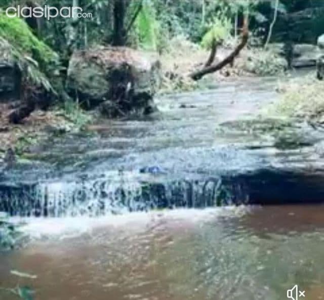 Cerro de escobar – paraguarí: 4 hectáreas + arroyos + VIñedos y vivienda – un paraíso!