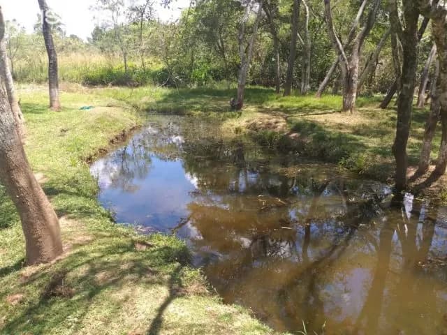 Mbatovi – paraguarí: Fantastica casa quinta – 26 has maravillosas – un paraíso!!, foto 5