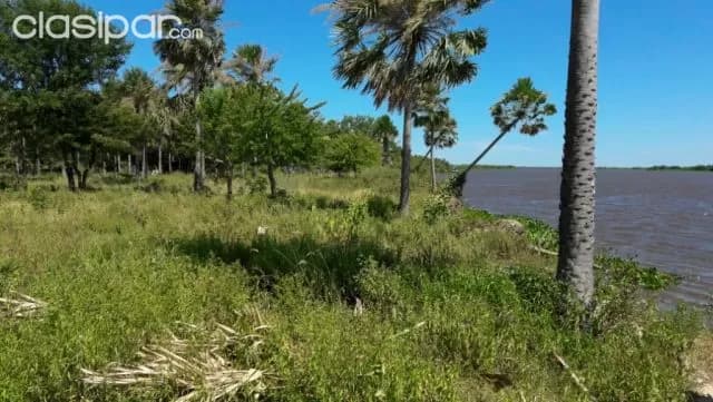 Carmelo peralta – alto paraguay (chaco): 12 hectareas s/ rio ideal p/ puerto, foto 3