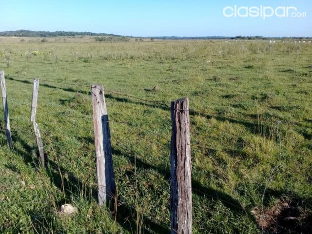 G051. Vendo Propiedad de 60 has en zona Cnel. Oviedo!!! — foto 1