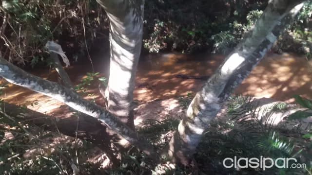 Superficie 6000 mts2 un eden en ytu, foto 3