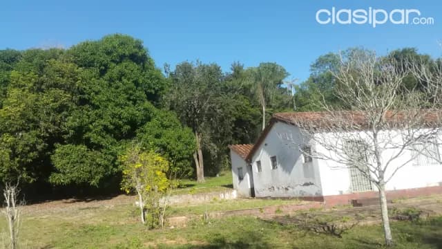 Superficie 6000 mts2 un eden en ytu, foto 4