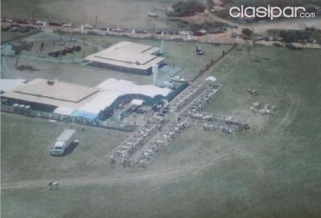 Yby yaú (concepción – canendiyu): 19.500 hectáreas agro-ganaderas, pasturas — foto 1
