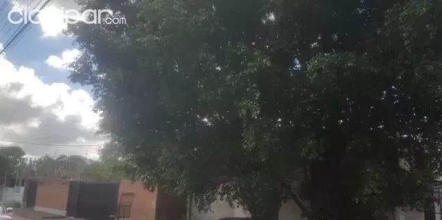 Deposito en asuncion zona avda. Primer presidente cod 2081 precio: 240.000 usd — foto 3