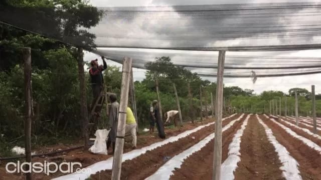 Granja en Arroyos y Esteros — foto 3
