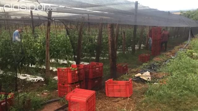 Granja en Arroyos y Esteros — foto 4