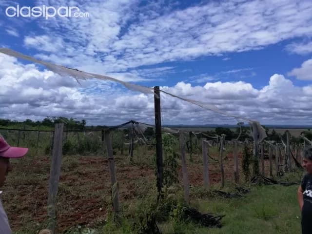 Granja en Arroyos y Esteros — foto 5