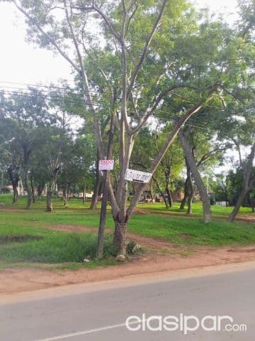 preciosos terrenos en caacupe bo. daniel escurra, frente al club tte. aquino 12x30 mts, foto 1