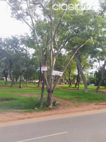 preciosos terrenos en caacupe bo. daniel escurra, frente al club tte. aquino 12x30 mts, foto 2