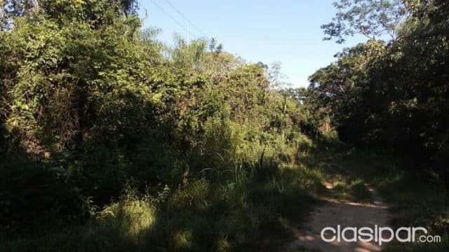 más de 2 hectáreas en emboscada Minas9, foto 1