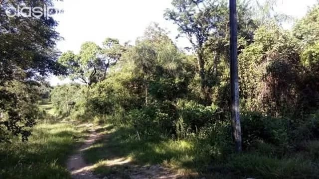 más de 2 hectáreas en emboscada Minas9, foto 3