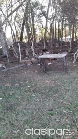 Acahay : P/ cantera en explotacion - piedra negra de 1ª !! — foto 5