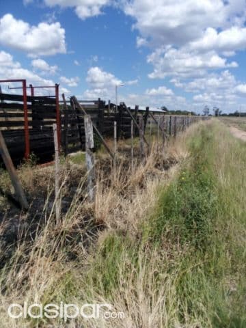 Propiedad de 34 hectáreas en coronel oviedo. J4116, foto 1