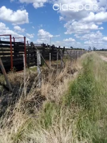 Propiedad de 34 hectáreas en coronel oviedo. J4116, foto 2