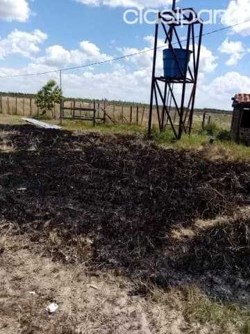 Propiedad de 34 hectáreas en coronel oviedo. J4116, foto 3