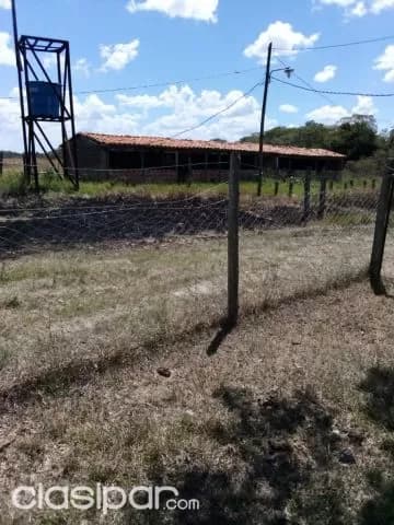 Propiedad de 34 hectáreas en coronel oviedo. J4116, foto 4