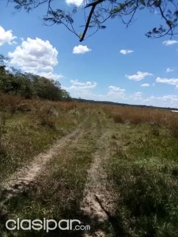 Propiedad de 34 hectáreas en coronel oviedo. J4116, foto 5