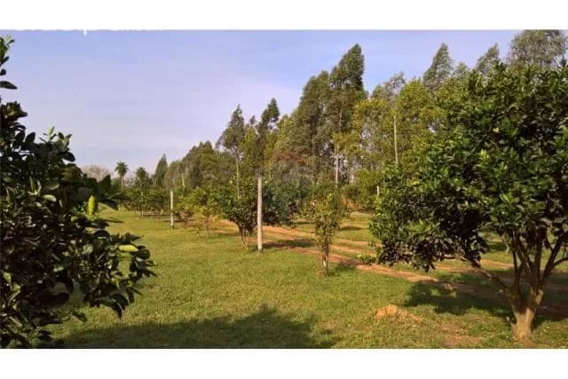 Propiedad a pasos de Puerto seguro Villeta 500,000 USD, foto 4