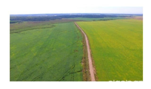 Campo Agrícola Mecanizado en San Pedro del Paraná sobre Ruta - 2006 Ha