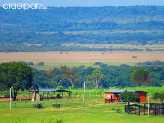 San roque gonzález de santa cruz – paraguarí: S/ asfalto, 242 hectáreas, en venta — foto 3