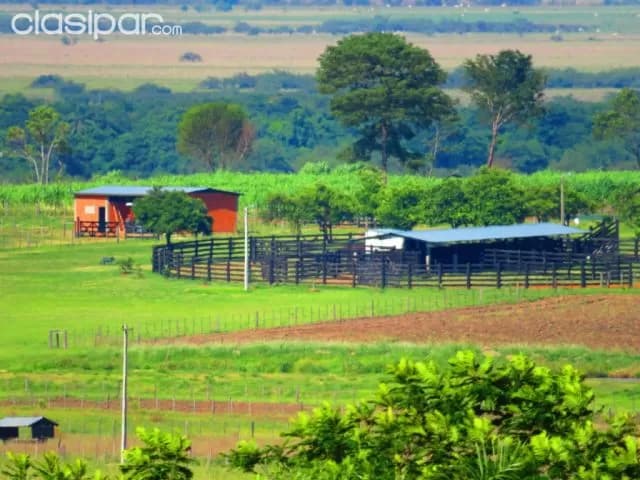 San roque gonzález de santa cruz – paraguarí: S/ asfalto, 242 hectáreas, en venta — foto 4