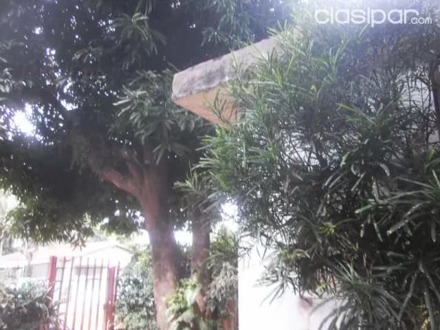 casa en San Lorenzo barrio lucerito, Superficie 360 mts2 — foto 3