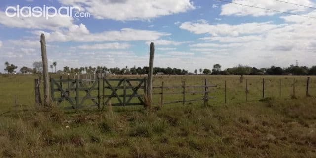 Caapucú (paraguarí): 23 hectáreas s/ ruta. Ideal p/ establecimientos ganaderos y otros, 57 — foto 1