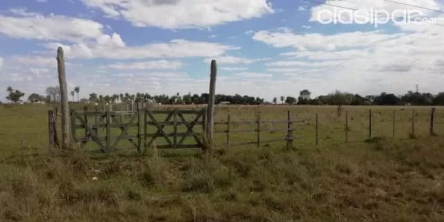 Caapucú (paraguarí): 23 hectáreas s/ ruta. Ideal p/ establecimientos ganaderos y otros, 57 — foto 2