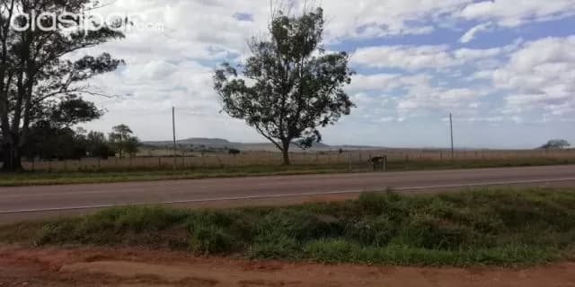 Caapucú (paraguarí): 23 hectáreas s/ ruta. Ideal p/ establecimientos ganaderos y otros, 57 — foto 3