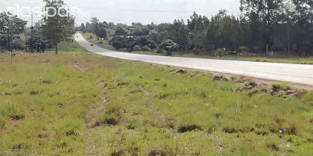 Caapucú (paraguarí): 23 hectáreas s/ ruta. Ideal p/ establecimientos ganaderos y otros, 57 — foto 4