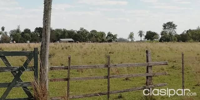 Caapucú (paraguarí): 23 hectáreas s/ ruta. Ideal p/ establecimientos ganaderos y otros, 57 — foto 5