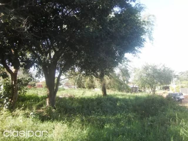 Superficie 5600 mts2, alucinante terreno en pai ñu, ñeemby !!! — foto 3