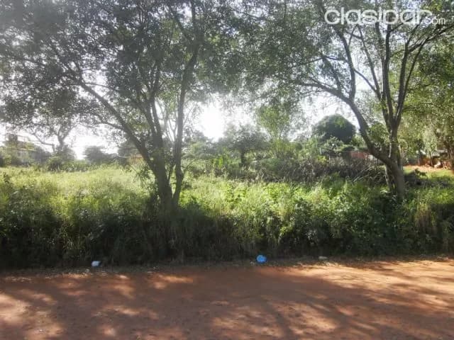 Superficie 5600 mts2, alucinante terreno en pai ñu, ñeemby !!! — foto 5