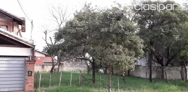 Hermoso terreno en villa adela, Luque — foto 4