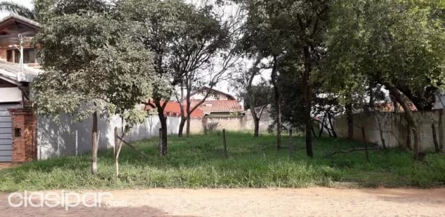 Hermoso terreno en villa adela, Luque — foto 5